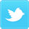Twitter Logo
